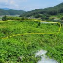 양지바른농장 이미지