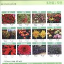 (주)상록조경 이미지