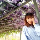 평리6동행정복지센터 이미지