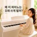 첫 전자피아노, 왜 DP3000Q+는 오래 쓰게 될까?