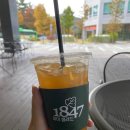 마이샐러드1847