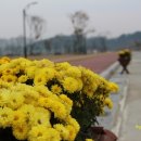 낙동강체육공원 축구장 이미지