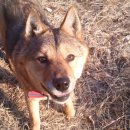 정돌이네 이미지