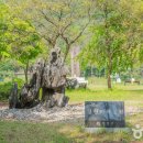 평창돌문화체험관 이미지