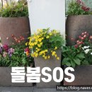 은천동-48 네이버블로그