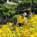 서고지민박 이미지