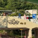 쉼터 - 서대문구 성산로 520 | 정선/민둥산 최단코스 돌리네쉼터 등산 후기(+주차, 화장실)