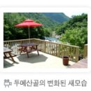 배내골유원지 네이버블로그