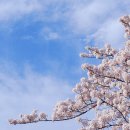 킹스학원 이미지