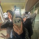 청신패밀리 네이버블로그
