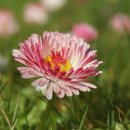 두쓰리집 이미지