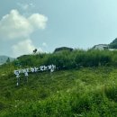 완주 카라반추천 [완주달빛카라반] 달빛7호 이용 및 다녀온 후기🚌