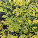 나를 지켜주는 친구 초록이 이미지