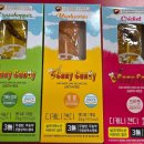 양주곤충박물관 | 아이들과 가볼만한 곳 양주곤충박물관 체험 후기