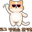 명성다육 이미지