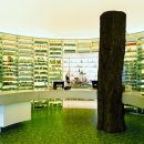 큰나무약국 이미지