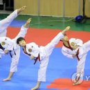 한양대 올림픽 태권도 이미지