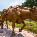 워낭소리 이미지