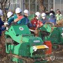 서울부산물 이미지