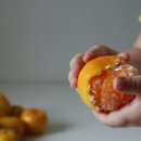 박달농장 이미지