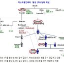 형성은 이미지