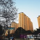 동일장 이미지