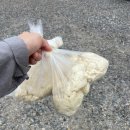 고대1121 | 원당맛집 "원당골순두부마을" 건강하고 맛있는 고양시맛집 추천