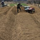 푸르른 농장 이미지