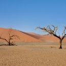 나미브(NAMIB) 네이버블로그