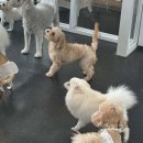 모노모노몽 네이버블로그