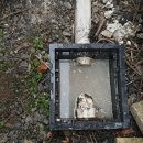 영산농장 이미지