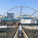 아리수가든 이미지