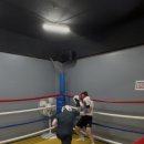 더 복싱(THE BOXING) 이미지