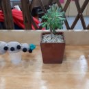 용인농촌테마파크 다정다감 이미지