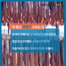 바다쿡 이미지