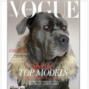 도그(DOGUE) 이미지