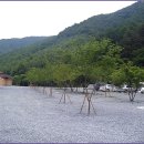 황제농원 이미지