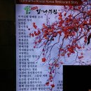 도안동감나무집 유성본점 네이버블로그