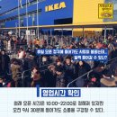 이케아 고수가 알려주는 <b>신박한</b> 이케아 <b>쇼핑</b> 꿀팁!