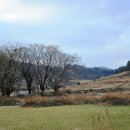 명천목장 이미지