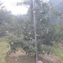 달님농장 이미지