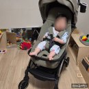 접이식 유모차 와이업 지니에스3 사용후기