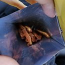 한우백화점 | 진영 고기백화점 신라고기 후기 추천 고기 부위 한우