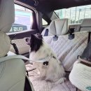 바우세차장 이미지