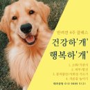 행복하 개 이미지