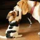 미래아이여성병원 이미지