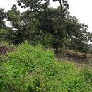 토실토실 2농장 이미지