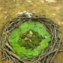 예소담유치원 이미지