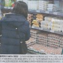 비전 바이오헬스