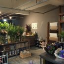 카페그냥 이미지